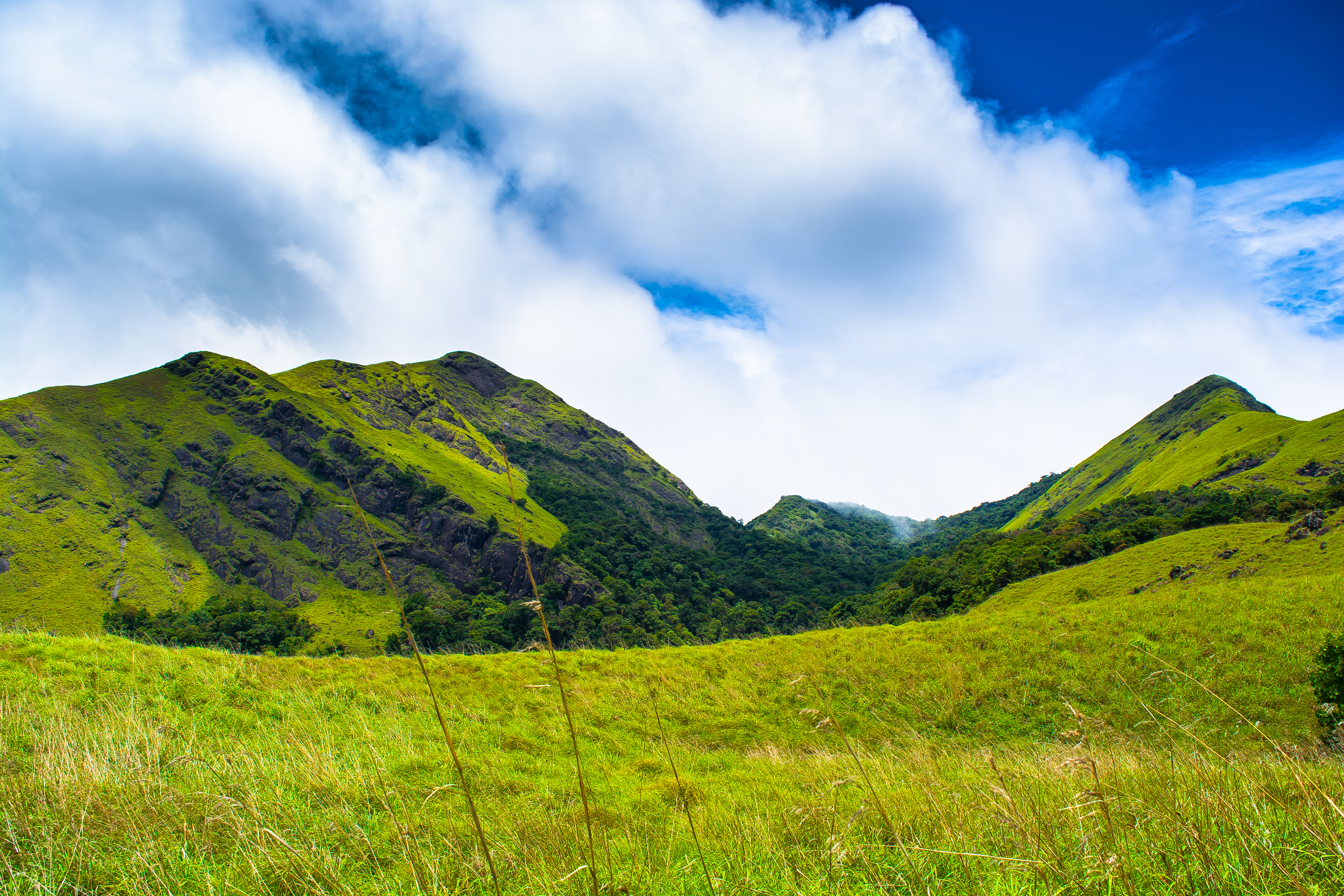 Wayanad, India