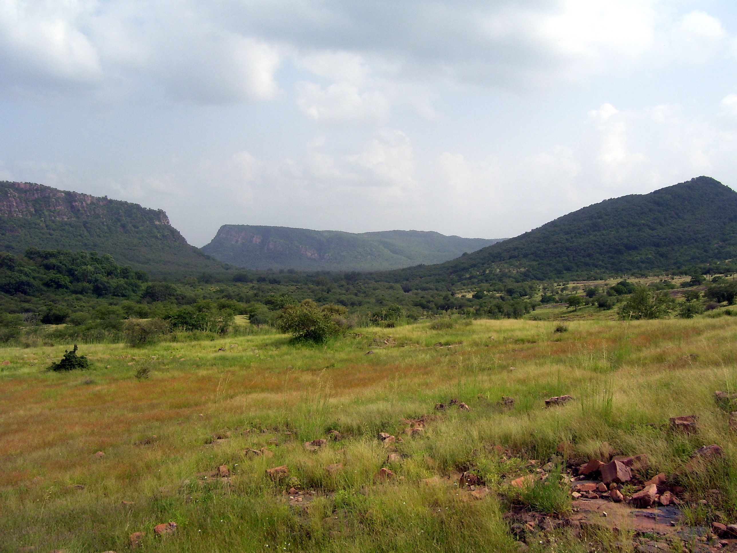 Ranthambore, India
