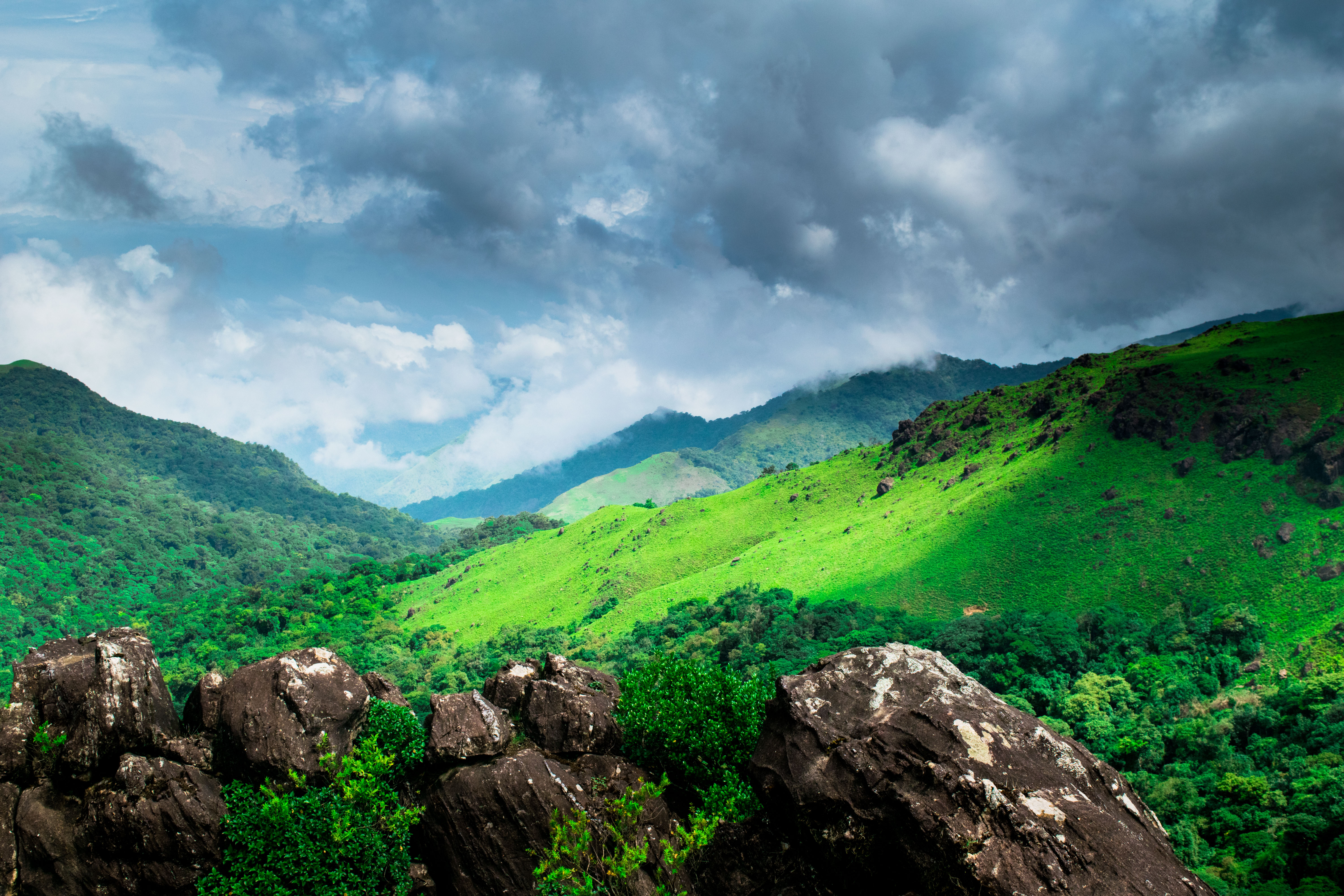 Coorg, India